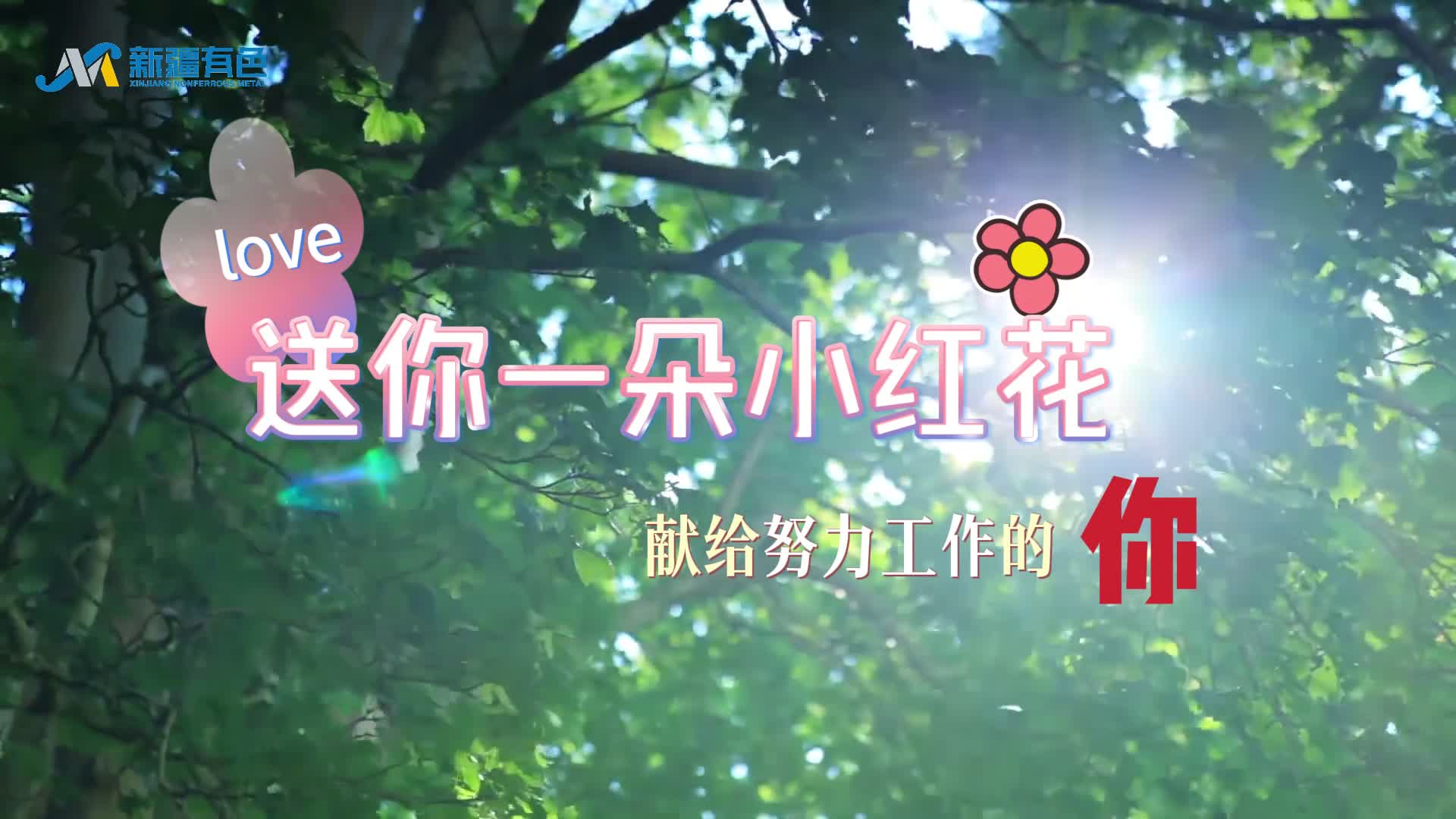 emc易倍·(中国)体育官方网站-EMC SPORTS